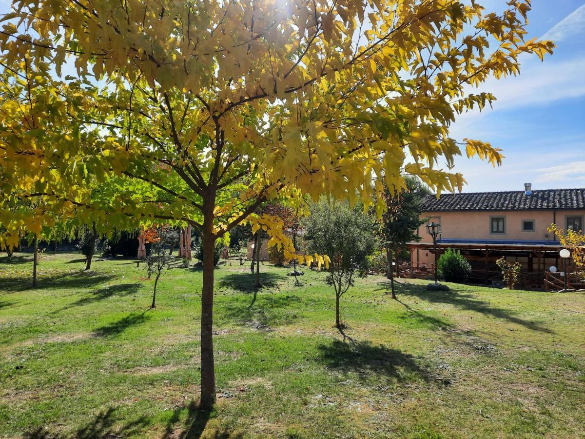 Sassomatto B&B Bioagriturelax Campogialli Exteriör bild