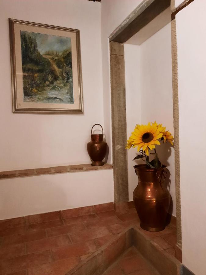 Sassomatto B&B Bioagriturelax Campogialli Exteriör bild